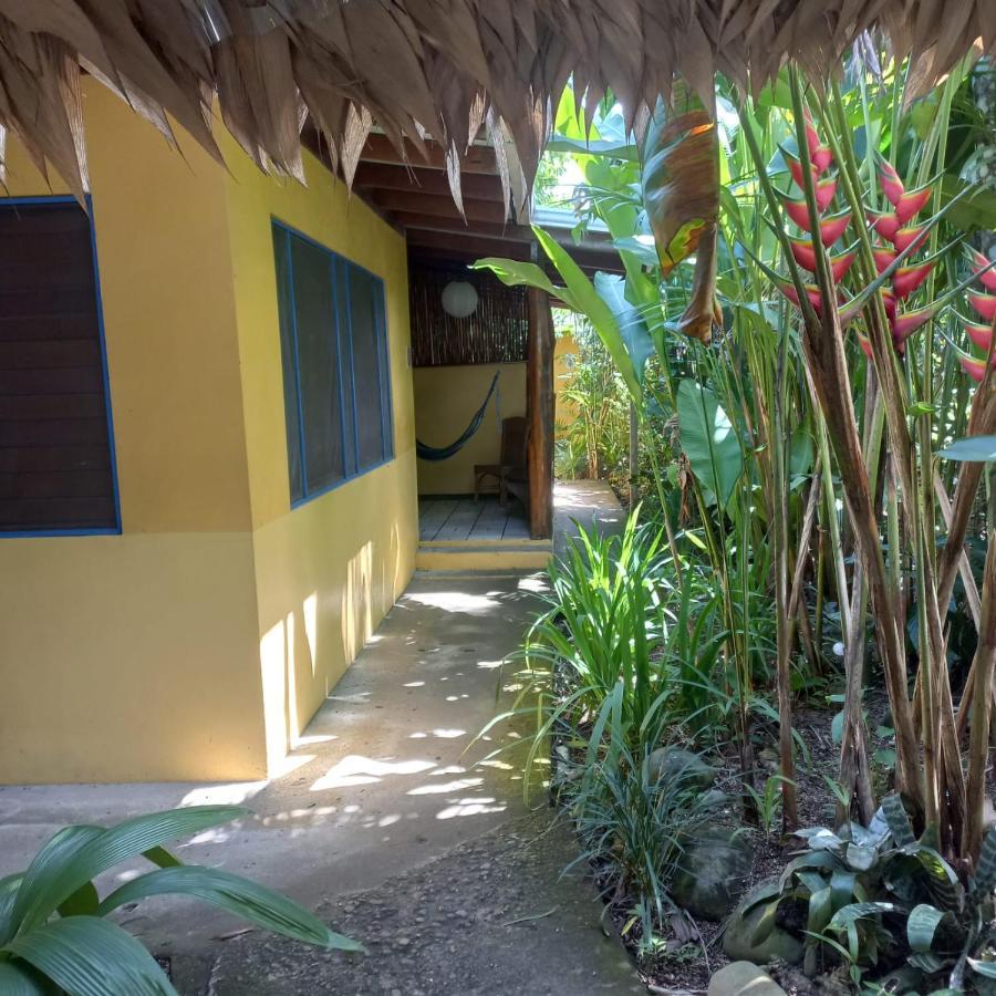 Cabinas Guarana Puerto Viejo de Talamanca Exterior photo