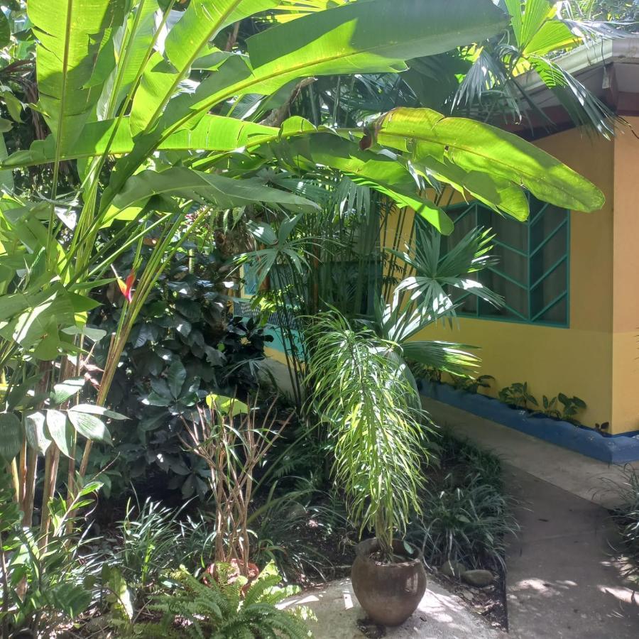 Cabinas Guarana Puerto Viejo de Talamanca Exterior photo